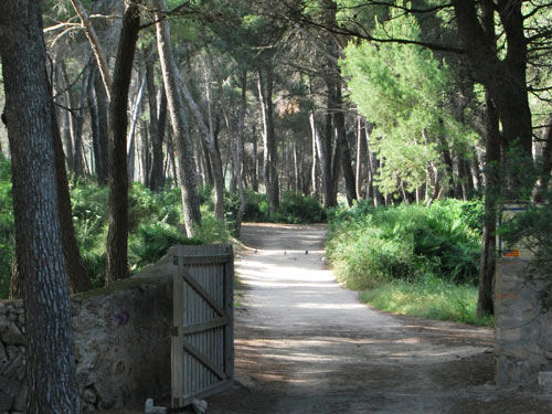 Camino Cala Agulla